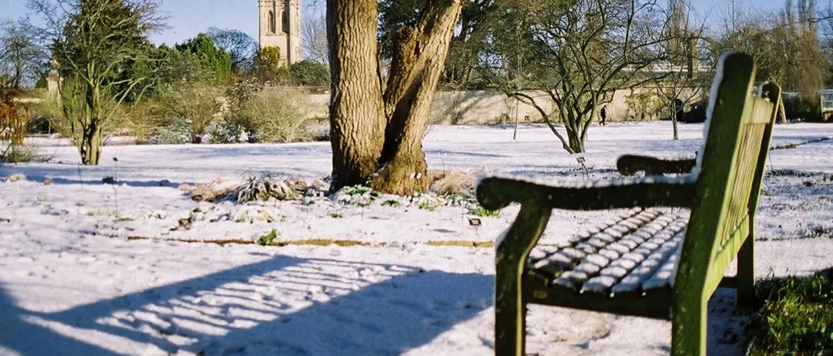 Lyra's Oxford — His Dark Materials Walk — Walk, City Centre, Oxford